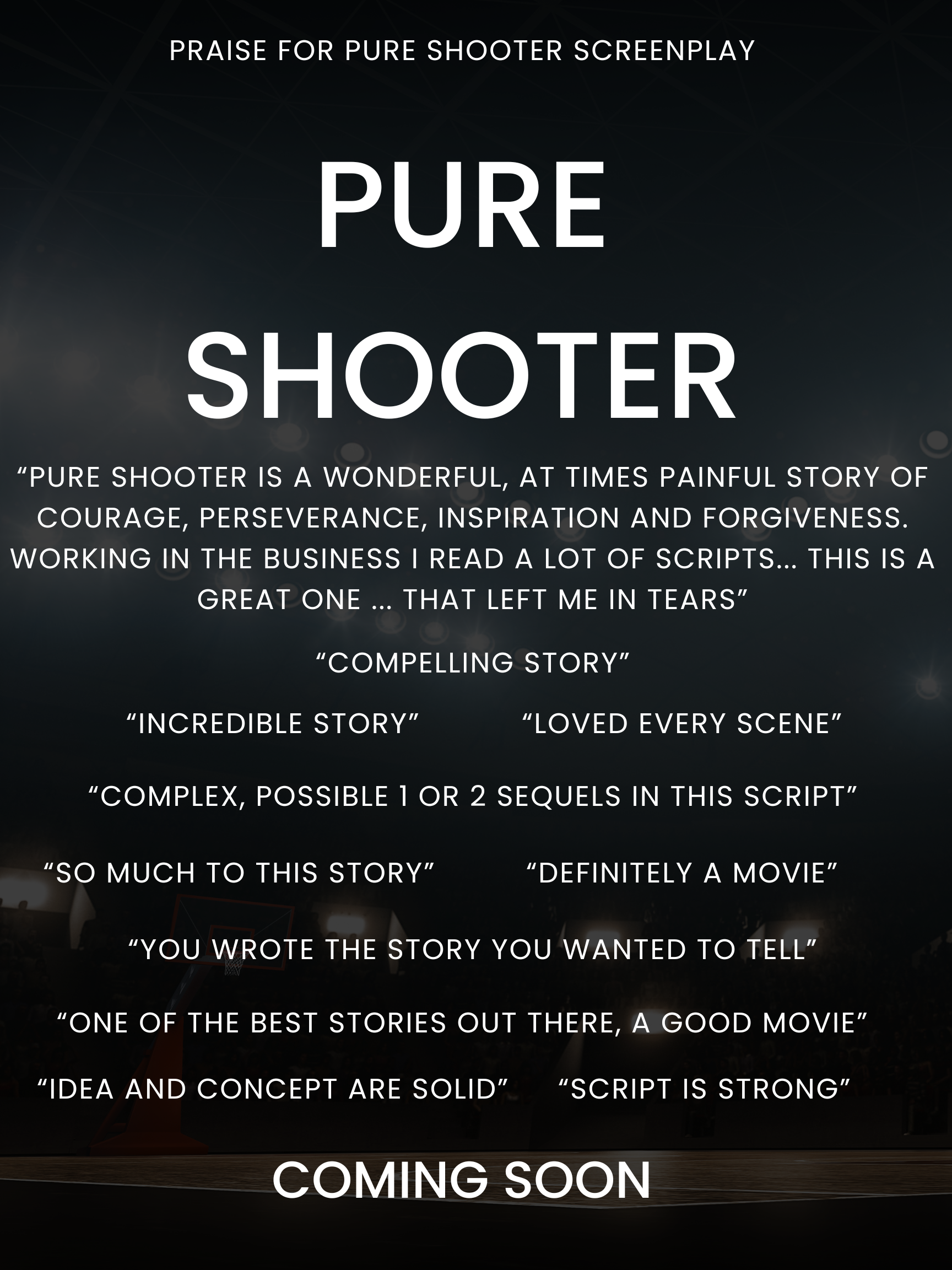 Praise for Pure Shooter Screenplay